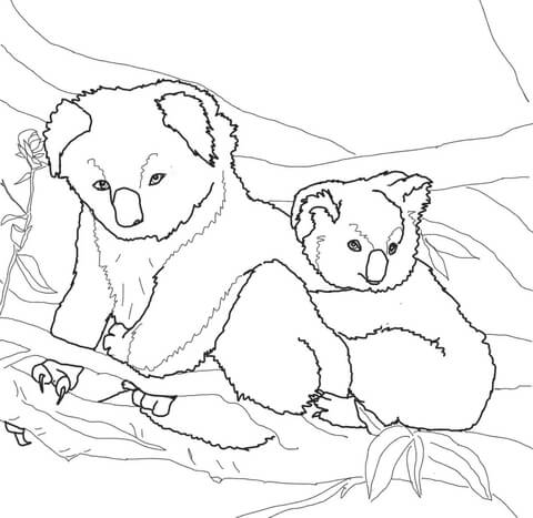 Mother And Baby Koala Coloring Page